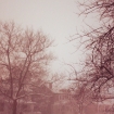 2009-03-02 (014).jpg